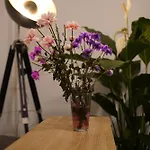 Appartement Im Szenekiez